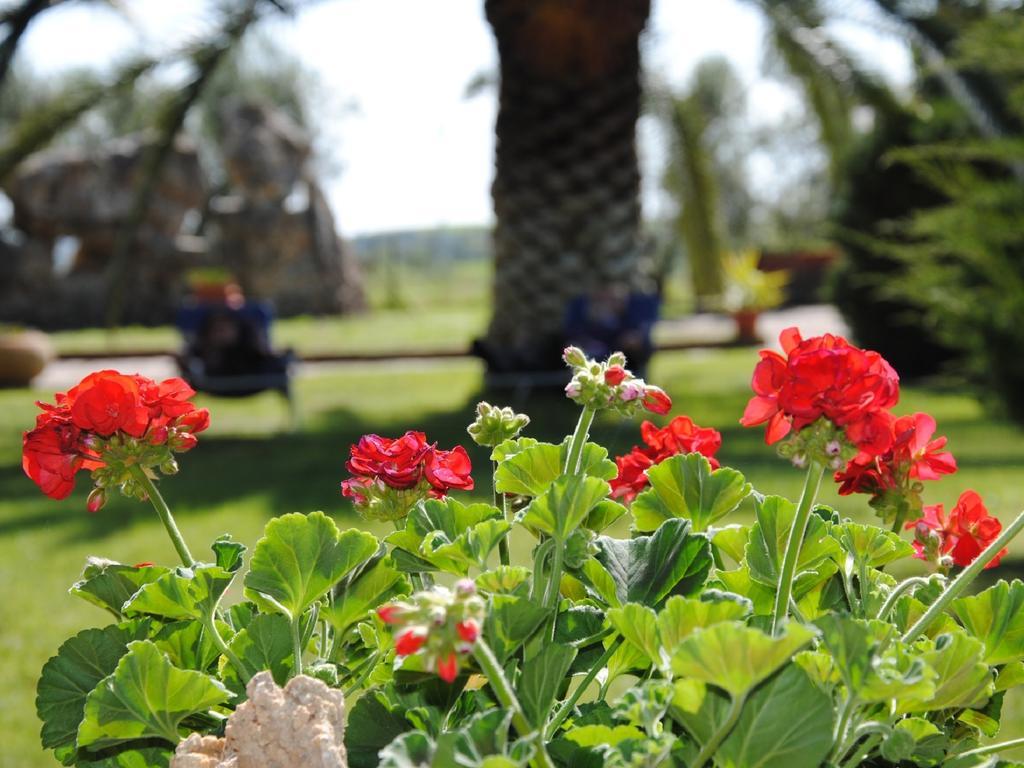 مونتالتو دي كاسترو Tenuta Di Pontesodo المظهر الخارجي الصورة